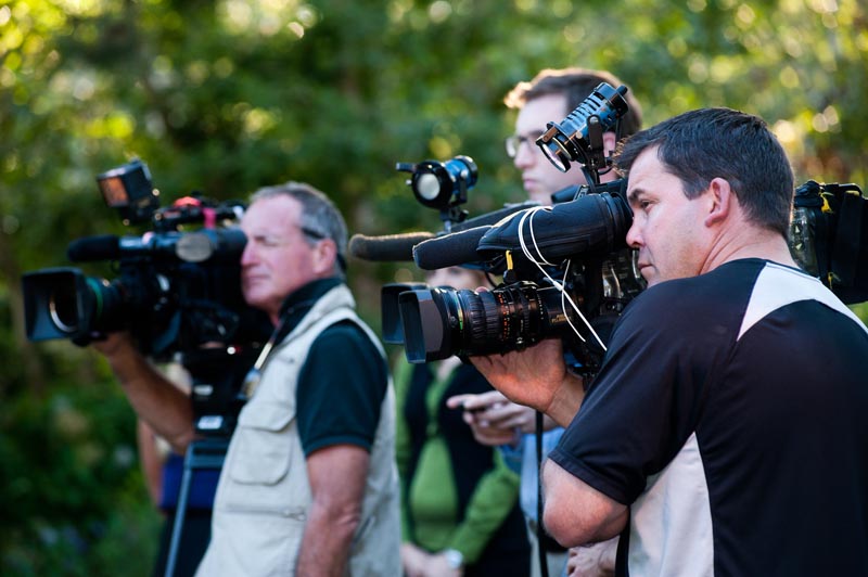 cameras