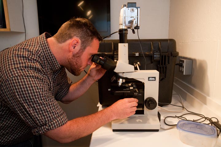 microscope
