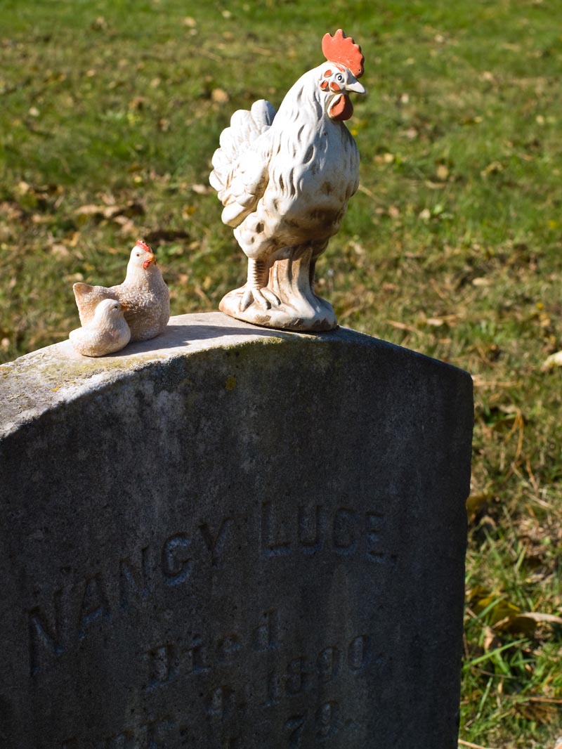 nancy luce