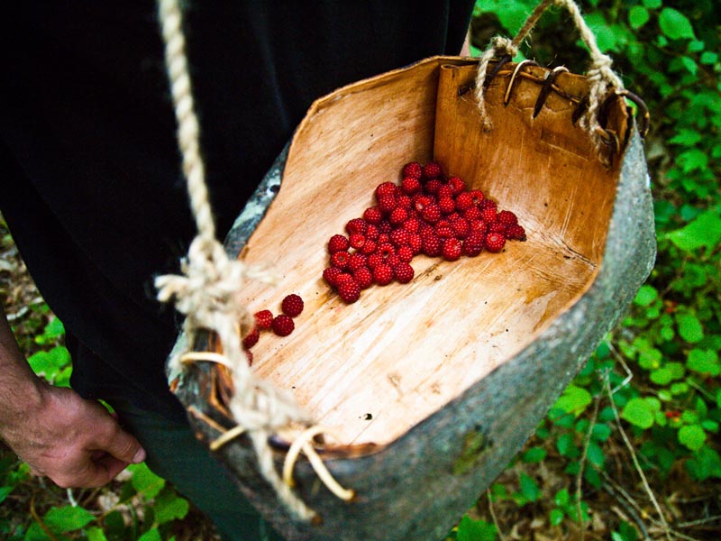 bark basket