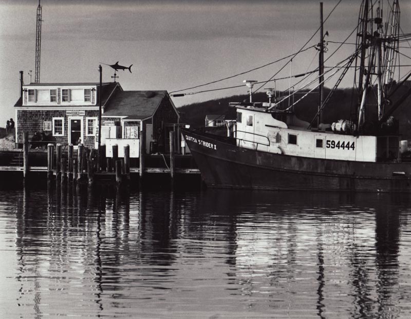 harbor