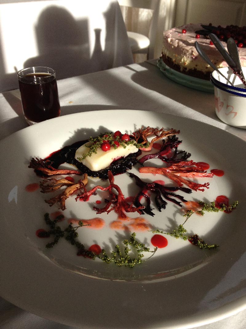 wild food