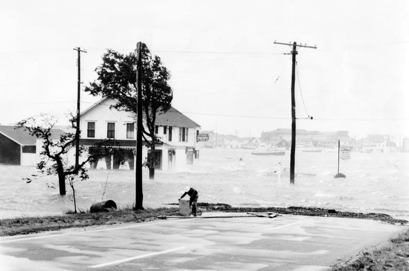 Hurricane Carol hits Oak Bluffs 