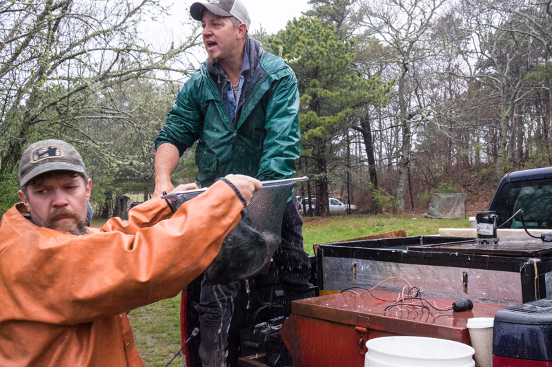 Keith Wilda providing trout for kids