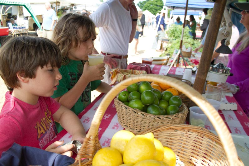 West Tisbury Farmers Market