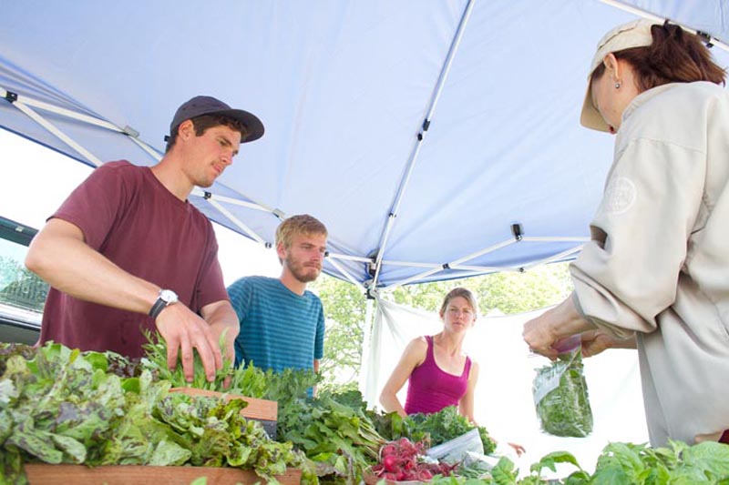 Slip Away Farm West Tisbury Farmers Market