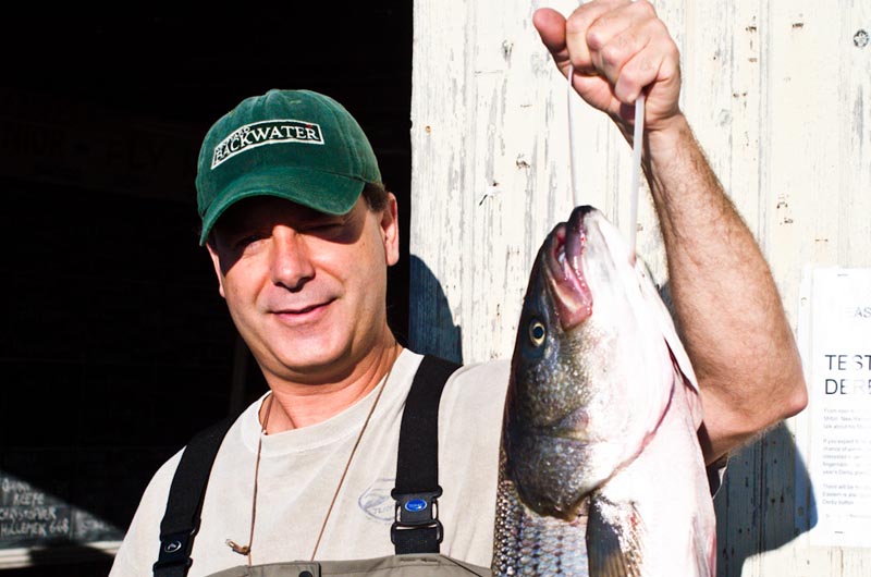 derby, bass, bluefish