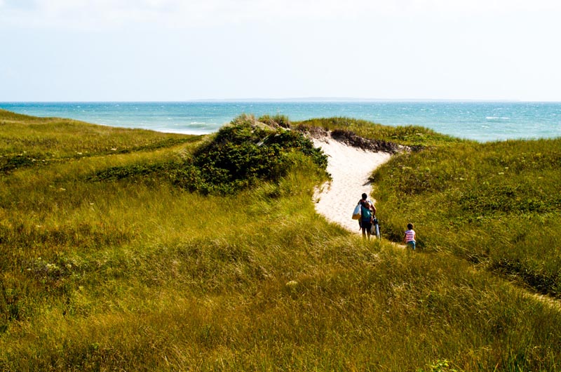 aquinnah, moshup trail, moors