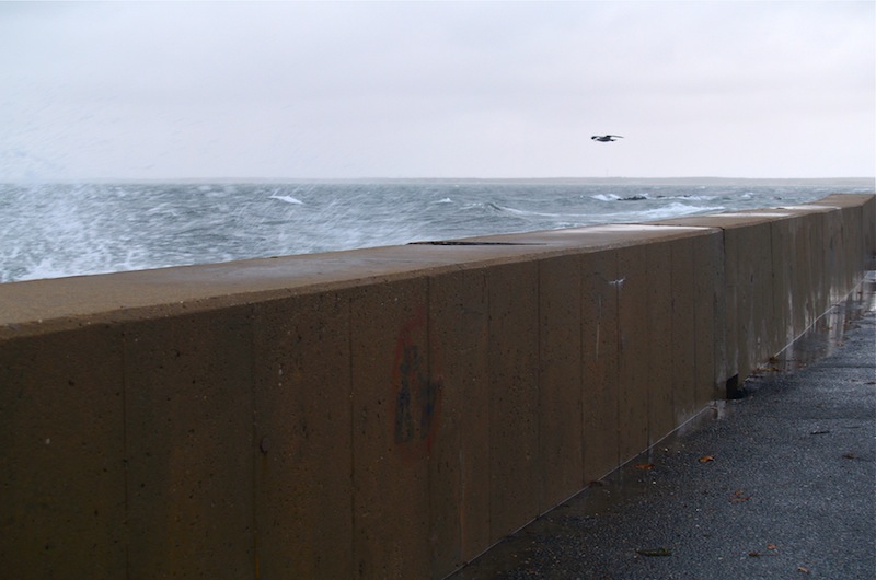 hurricanes, hurricane sandy, martha's vineyard