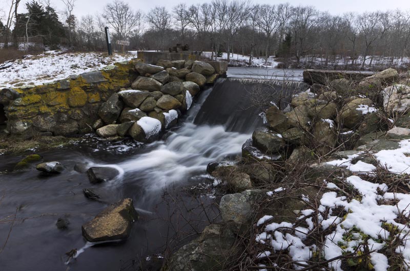 Priesters Pond, Land Bank, West Tisbury