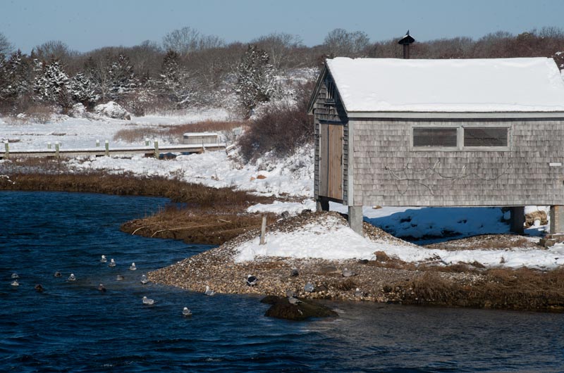 Hariph Creek, Snow, Nashaquitsa