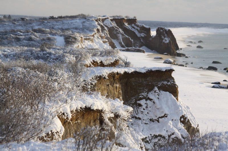 Lucy Vincent, Chilmark, Snow