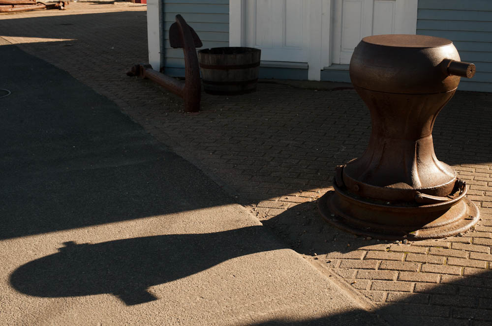 Long shadows of November.