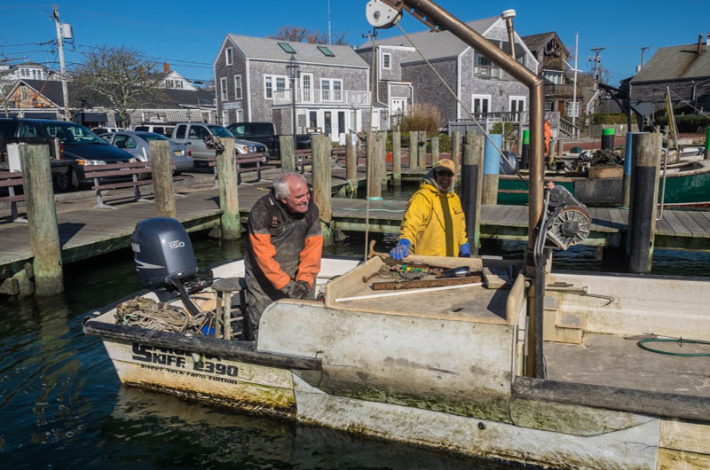 Oyster farmer Jack Blake and Danny Gilkes.