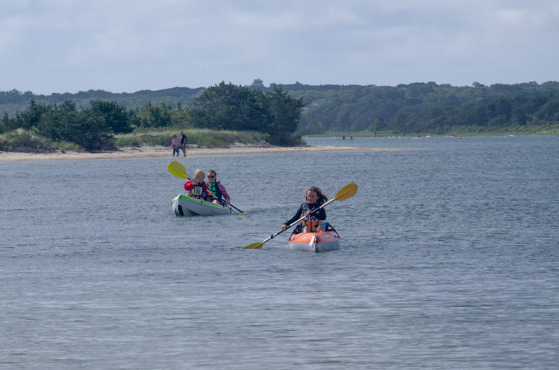 High northerly wind kept the racing in Sengekontacket.