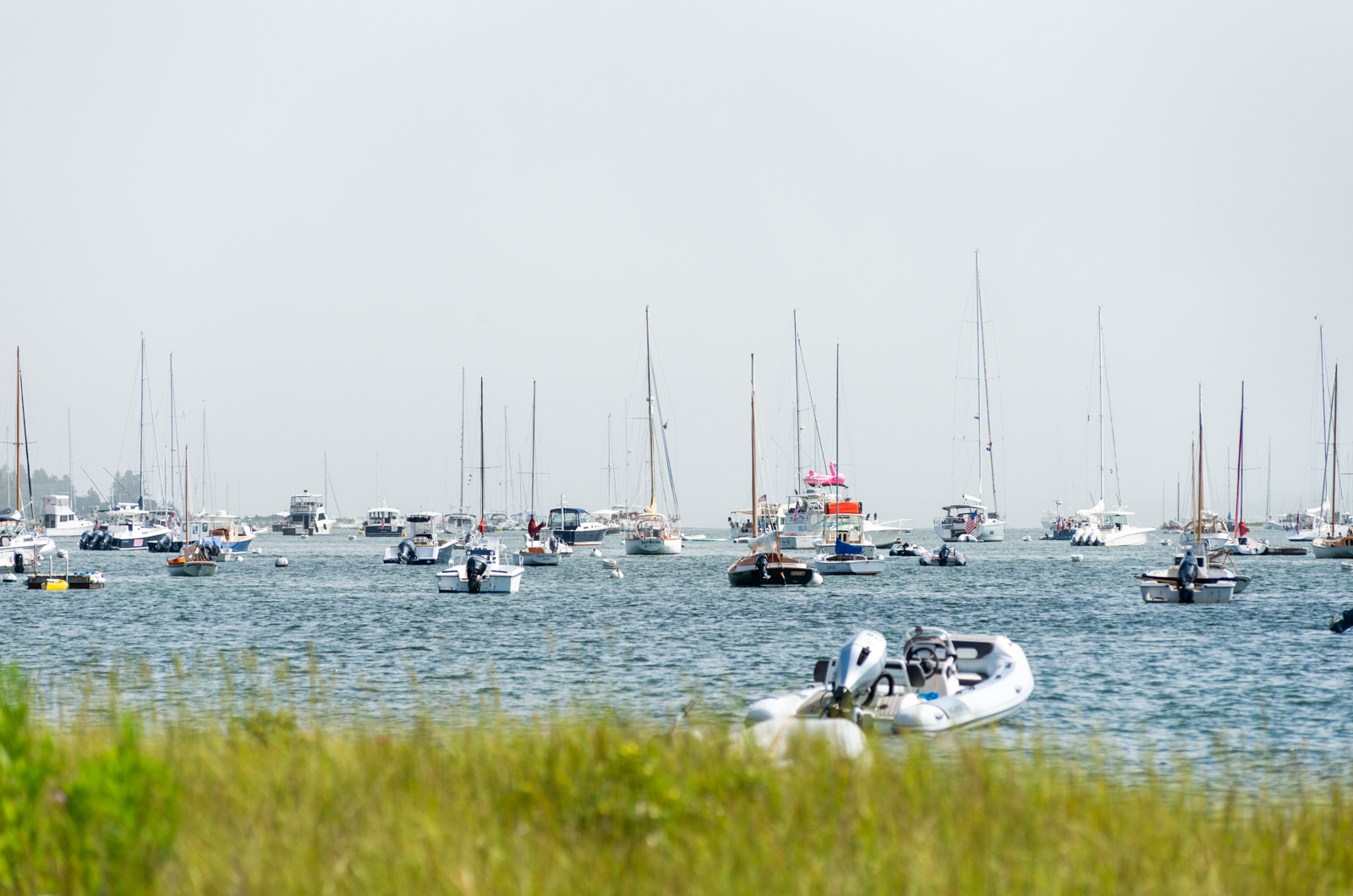 Moorings are filled up down harbor.