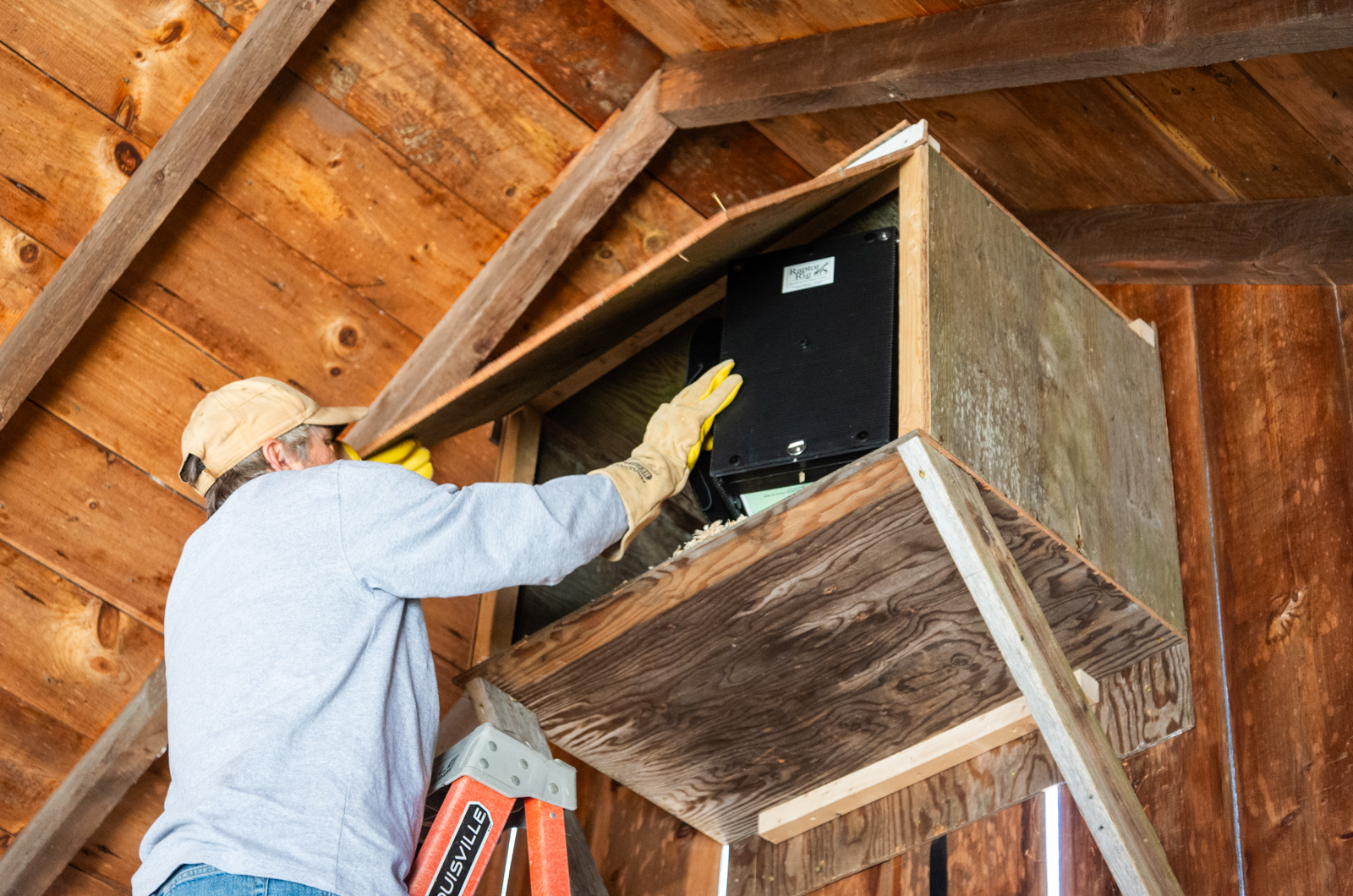 Placing the owl in the box.