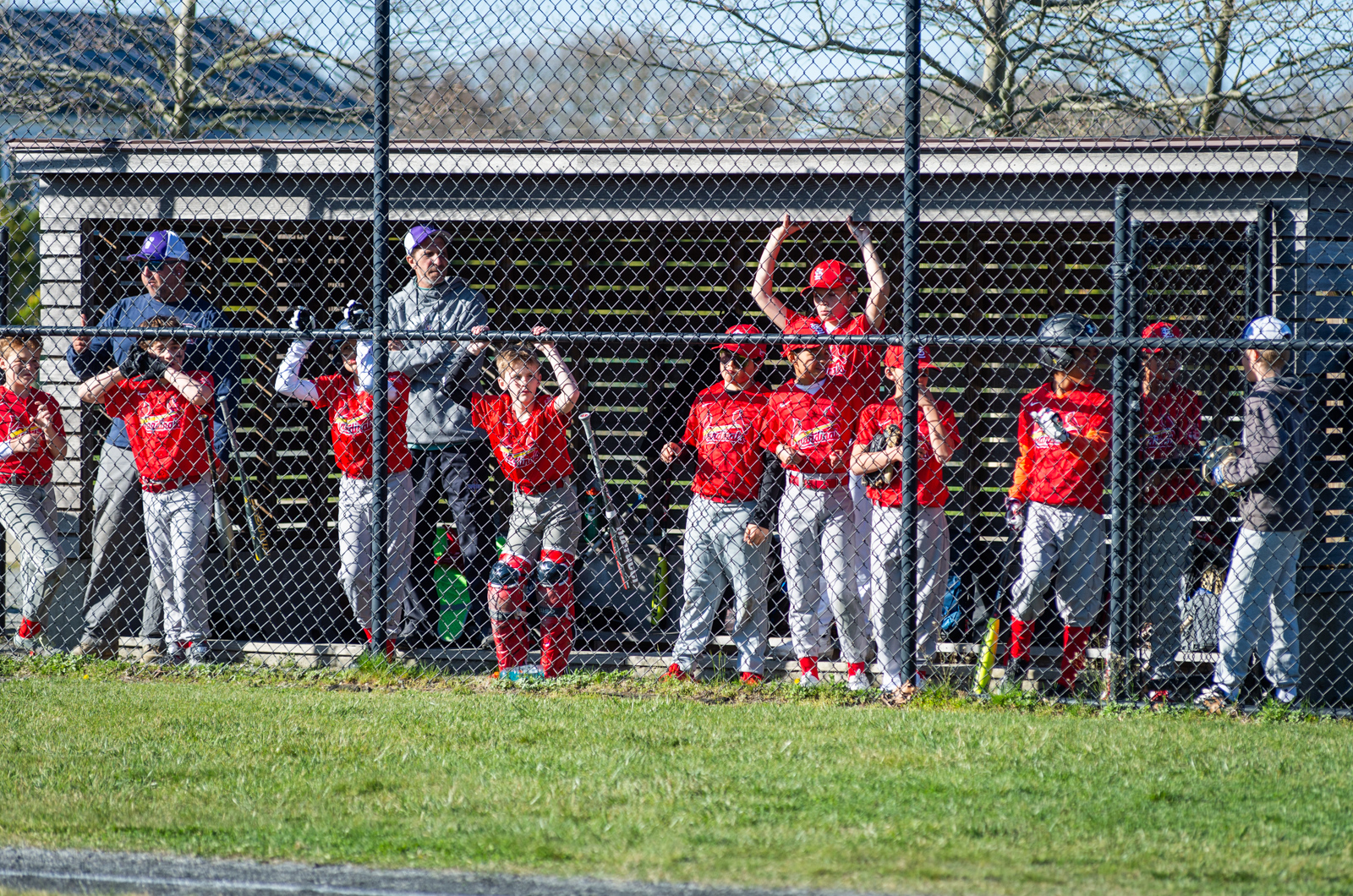 The Cardinals watch the inning.