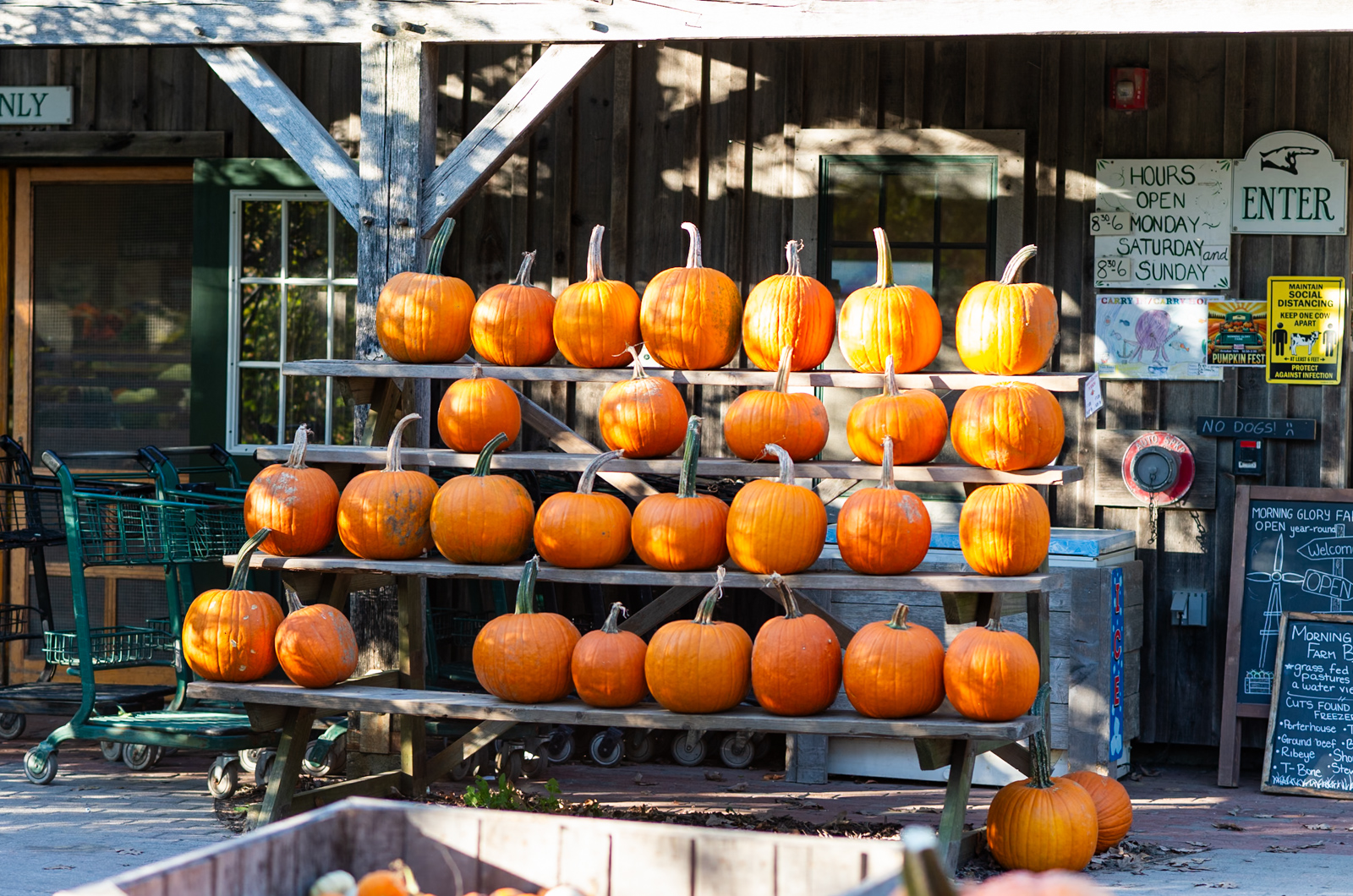 Morning Glory Farm is known for its October pumpkin display.