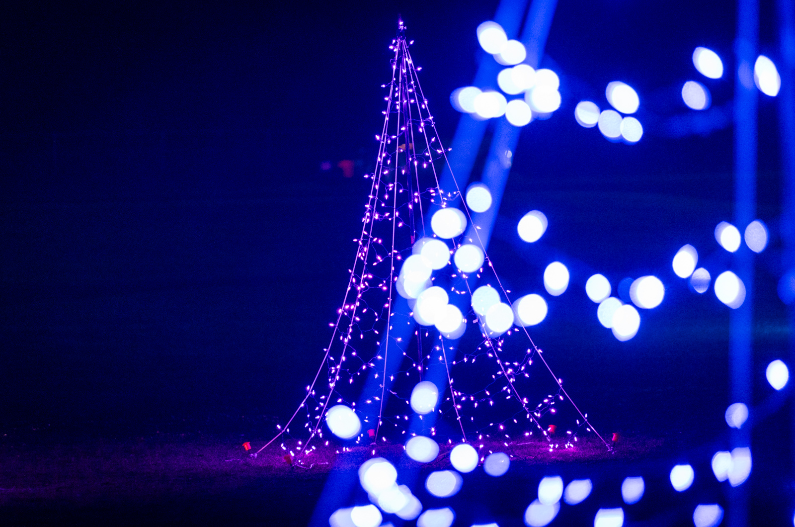 See the blazing yule before us Fa la la la la, la la la la (fa la la la la, la la la la).