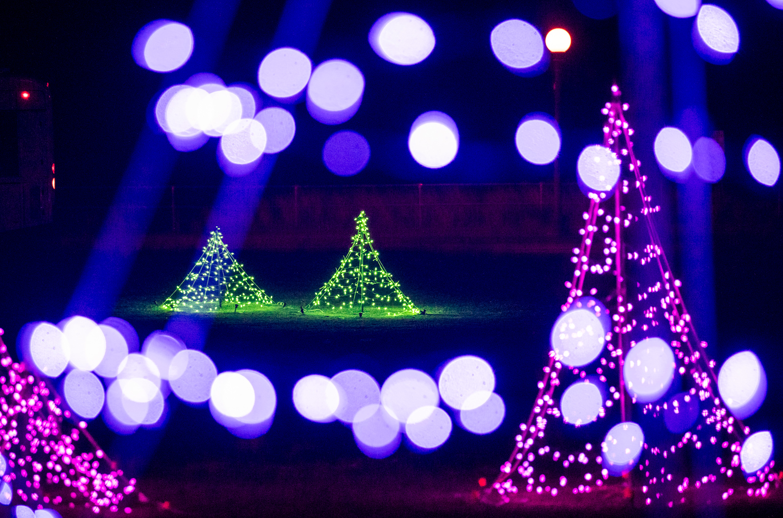 Deck the halls with boughs of holly Fa la la la la, la la la la.