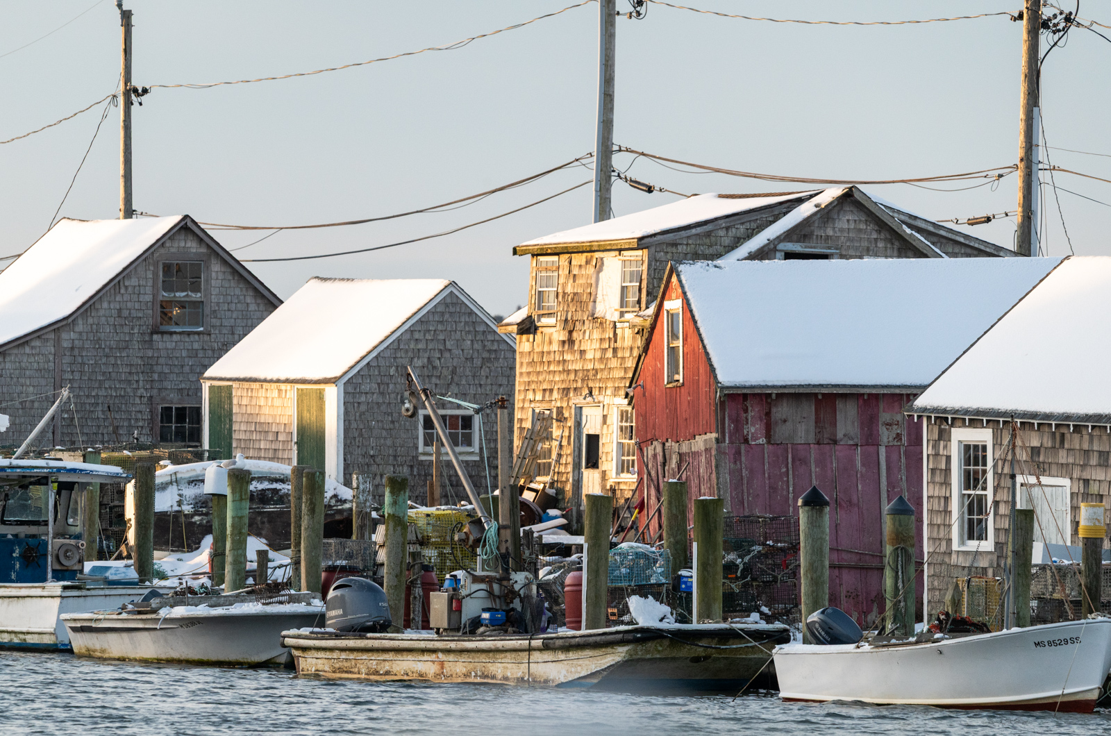 Early morning light on Menemsha harbor.