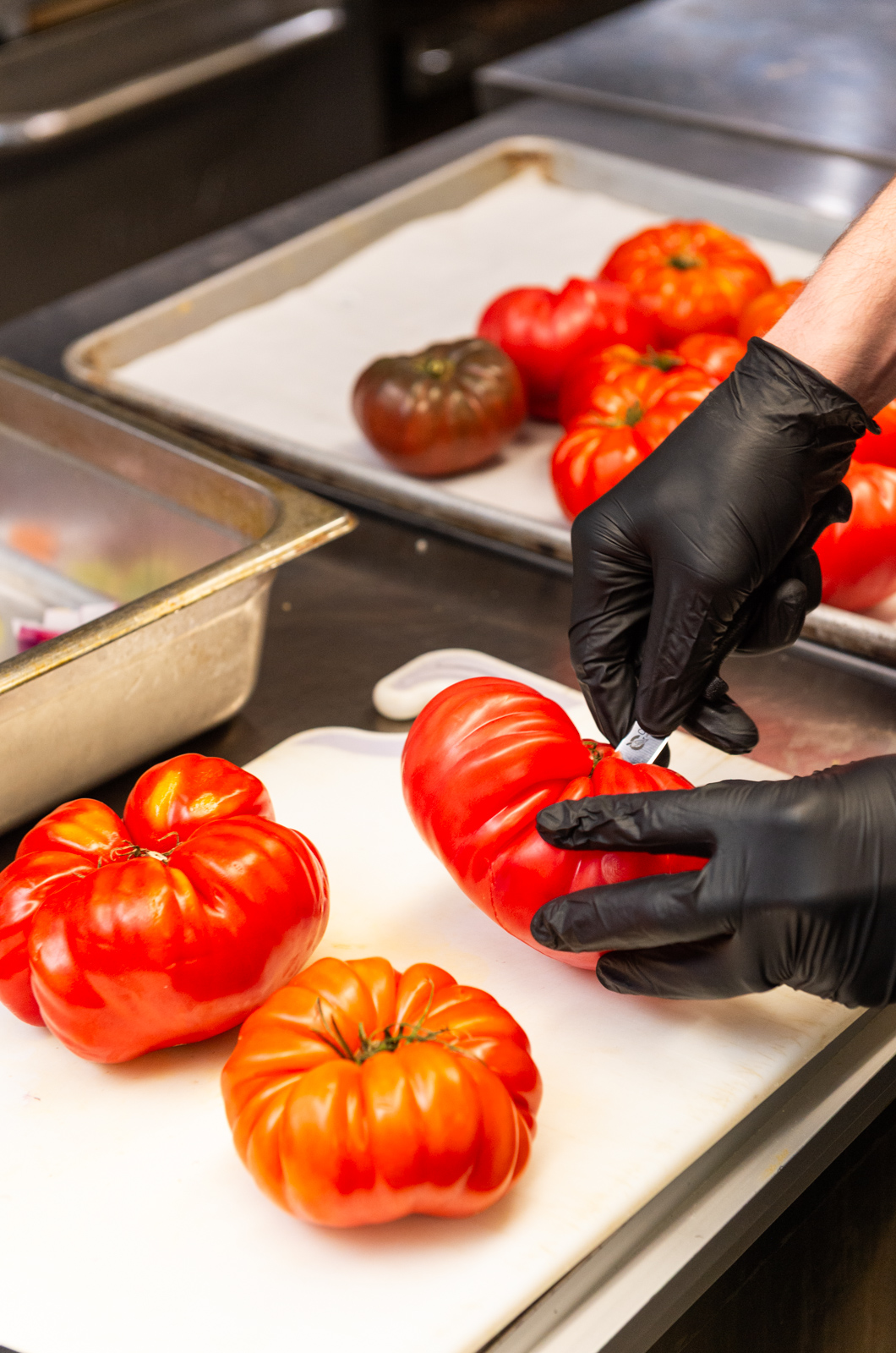 Cutting heirloom tomatoes from Morning Glory farm.