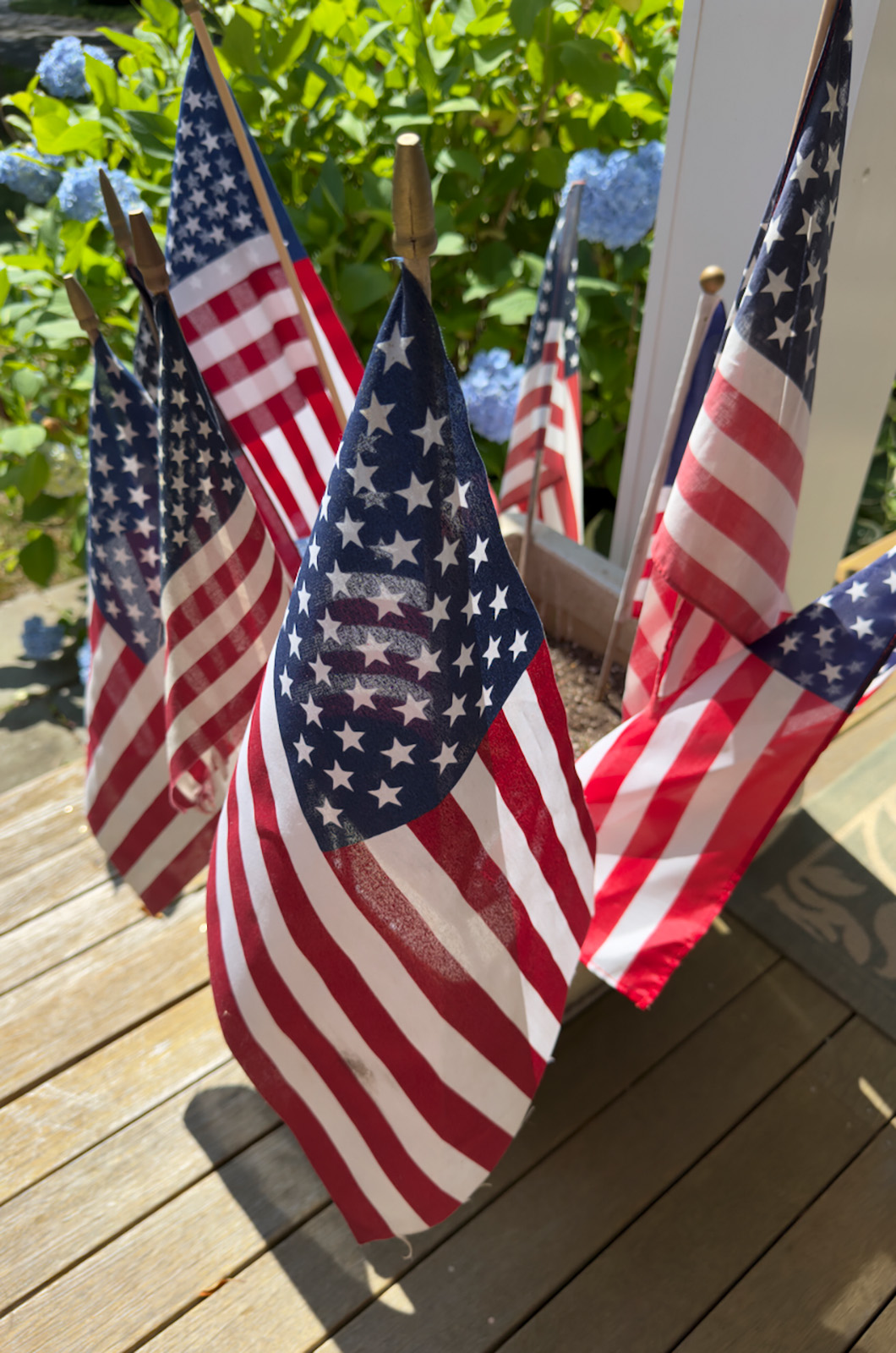 Everyone had their patriotic decorations out.