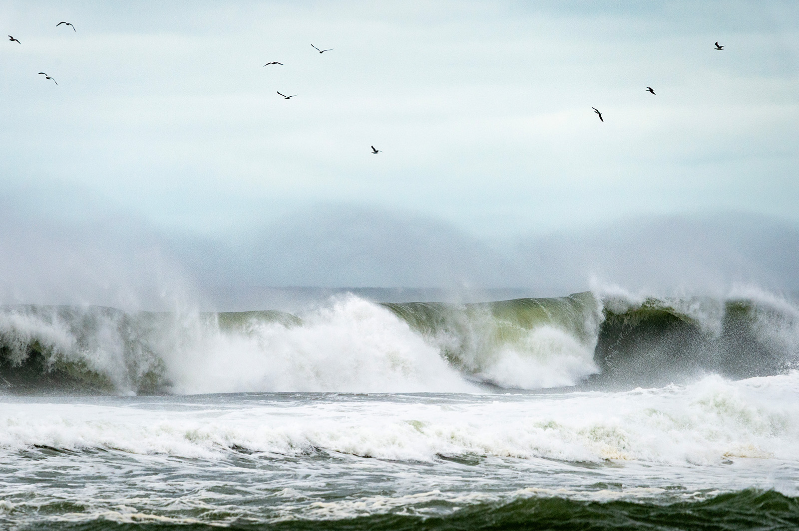 Gulls circle around breaking waves.