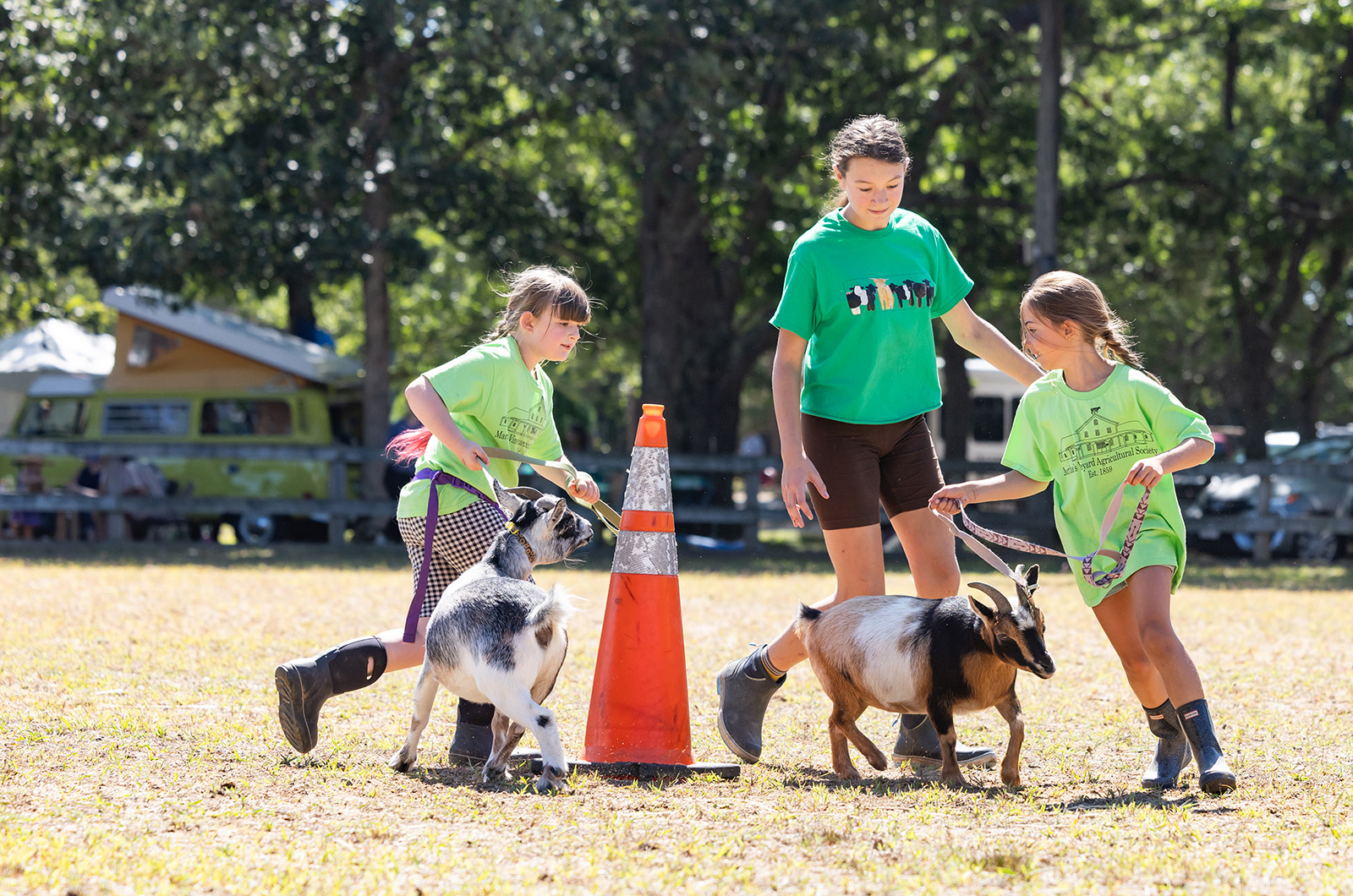 The 4-H Katama cowpokes lead their goats through an obstacle course.