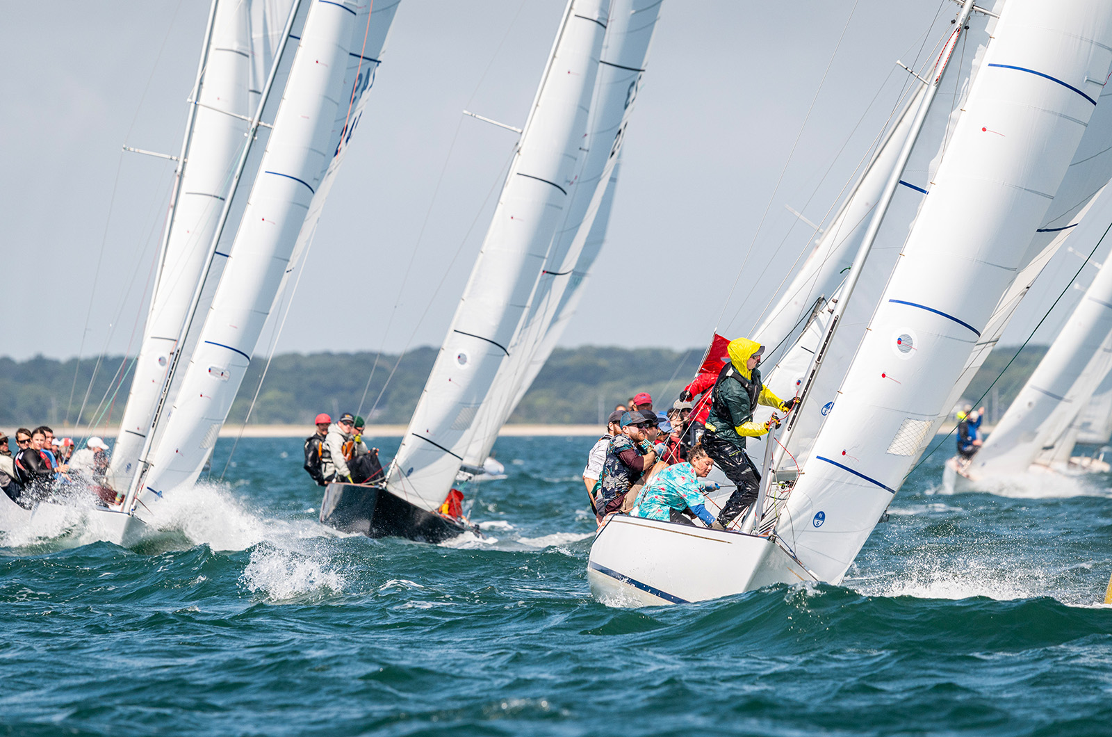 Getting those spinnakers ready.