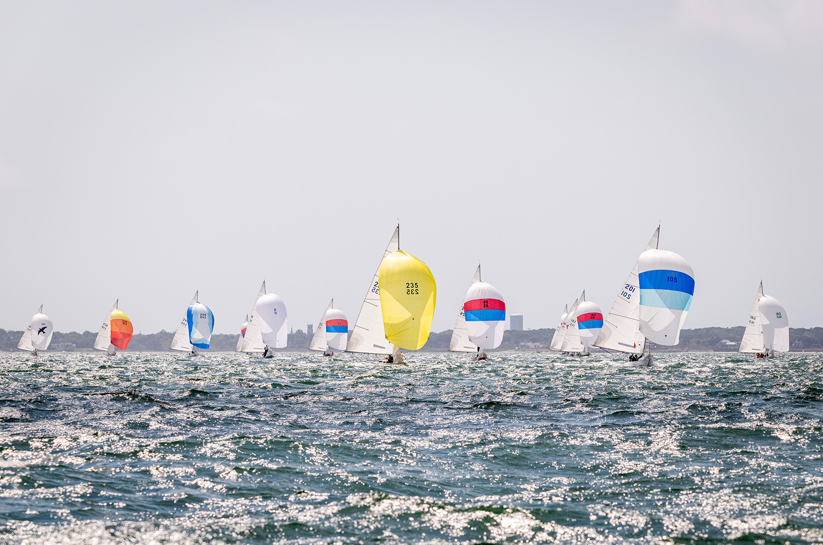 Spinnakers out as the race heads back to the start.