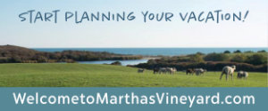 martha's vineyard travel site