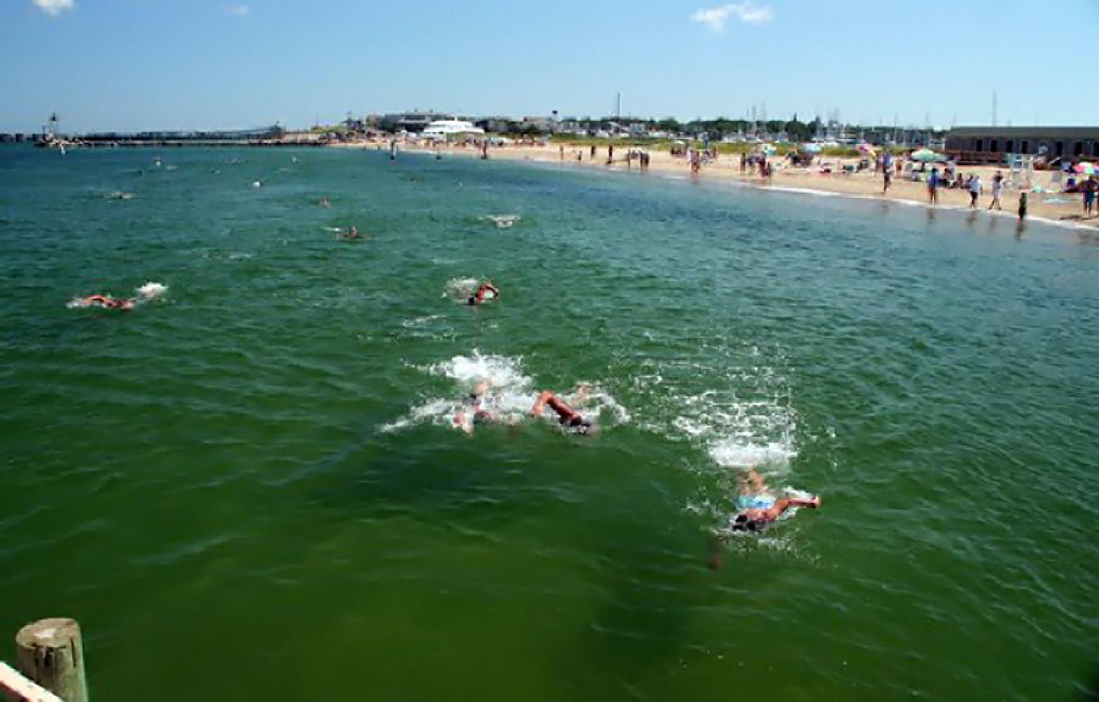 swimmers