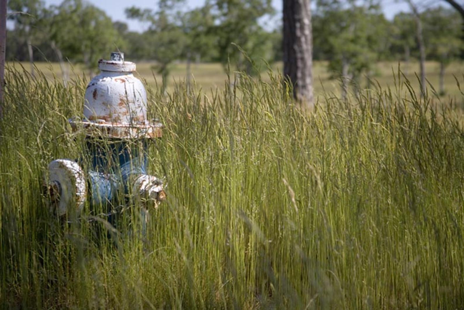 hydrant