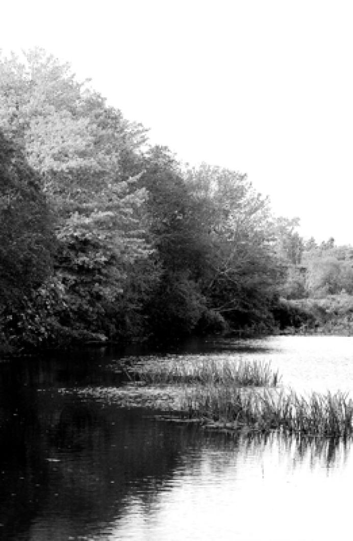 mill pond
