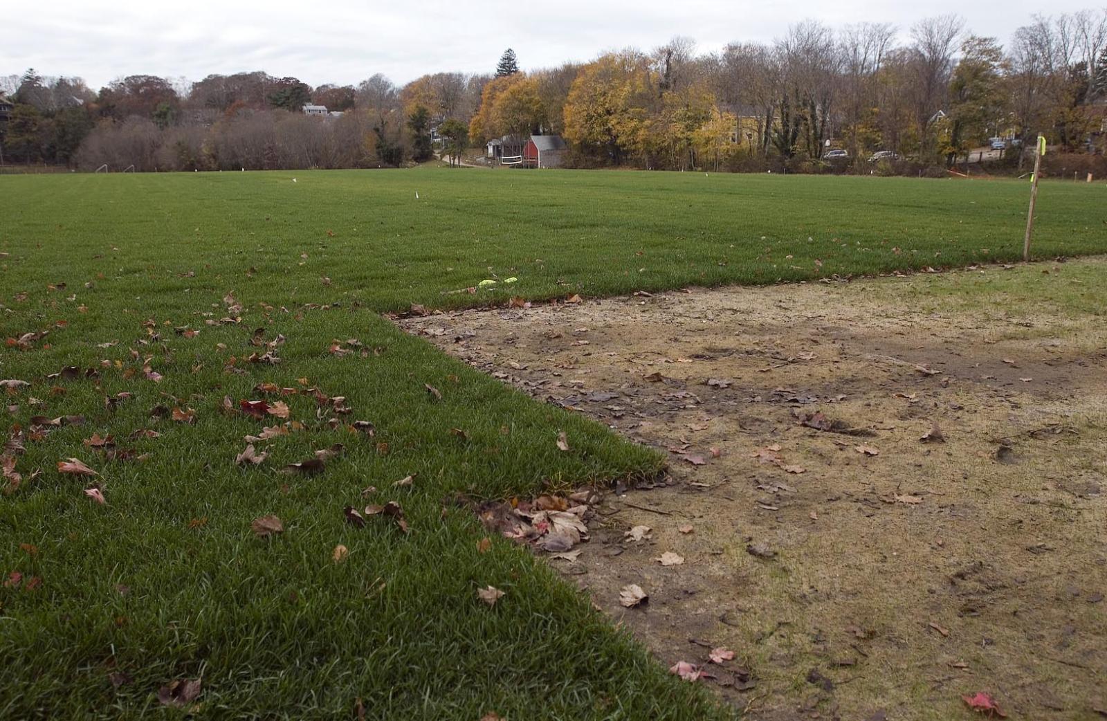 field