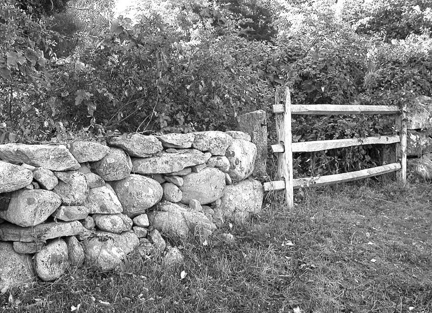 fence