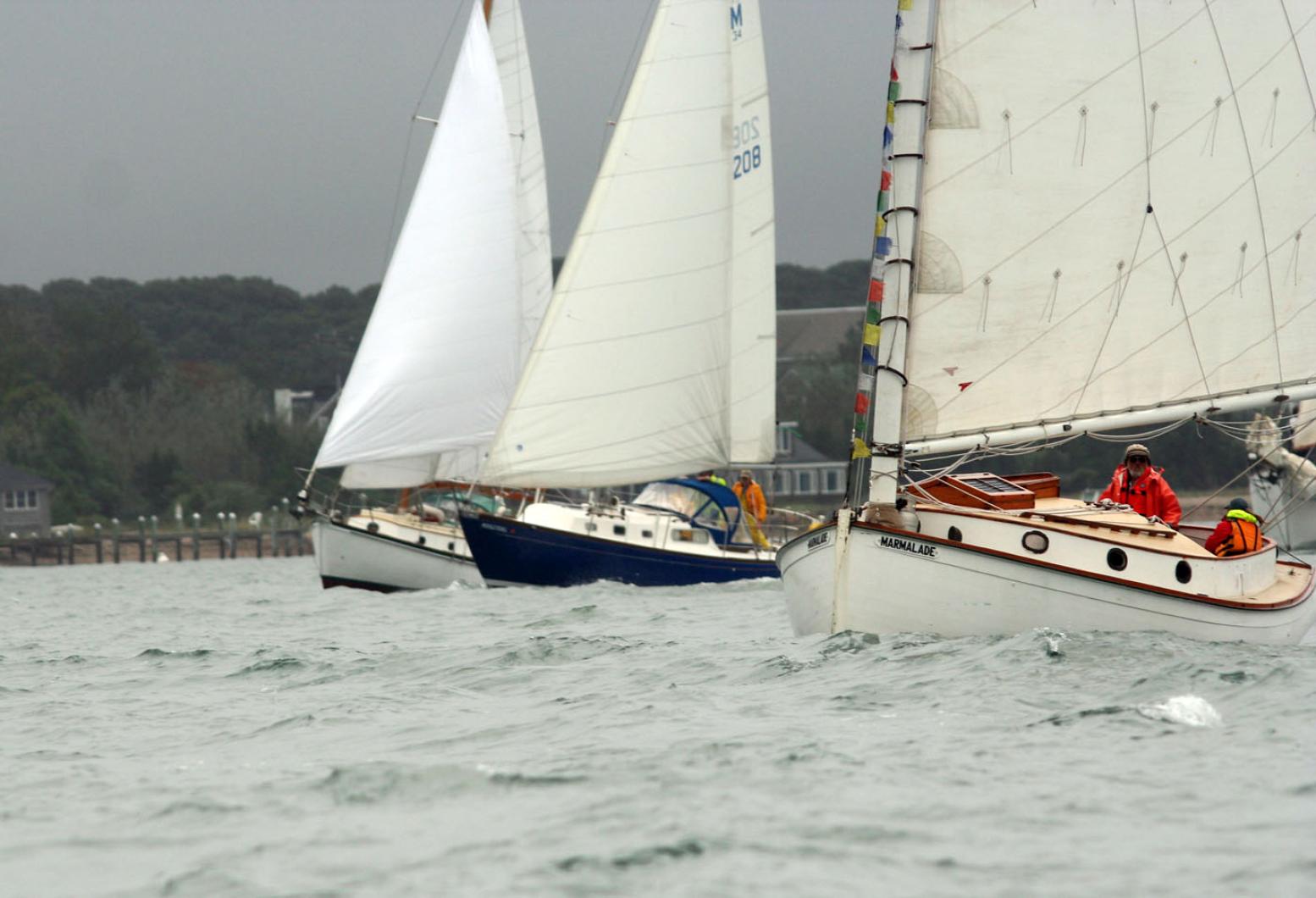 Moffet Race