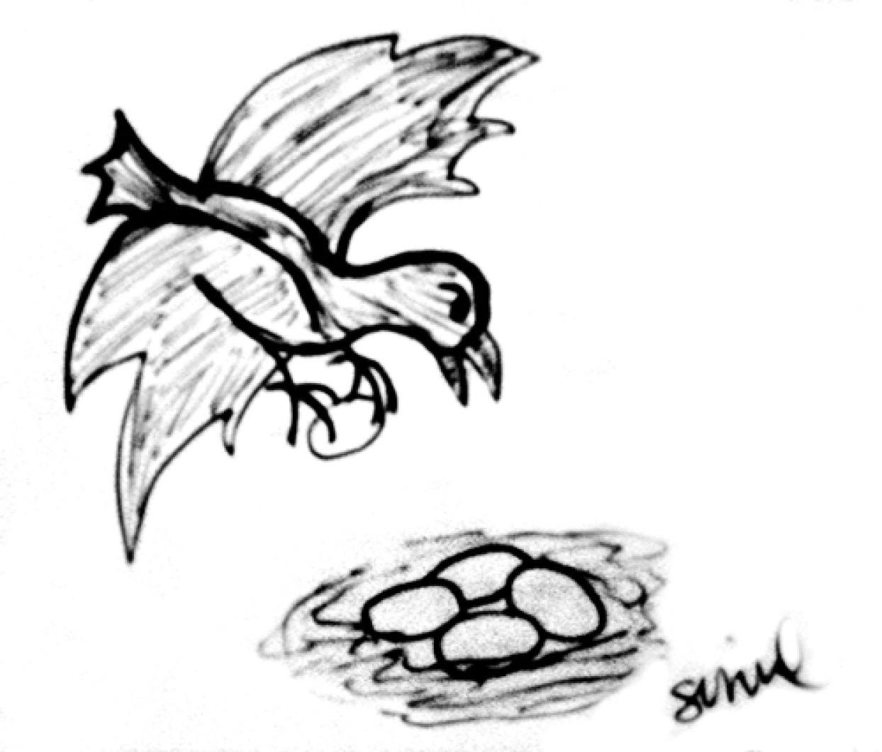 nest