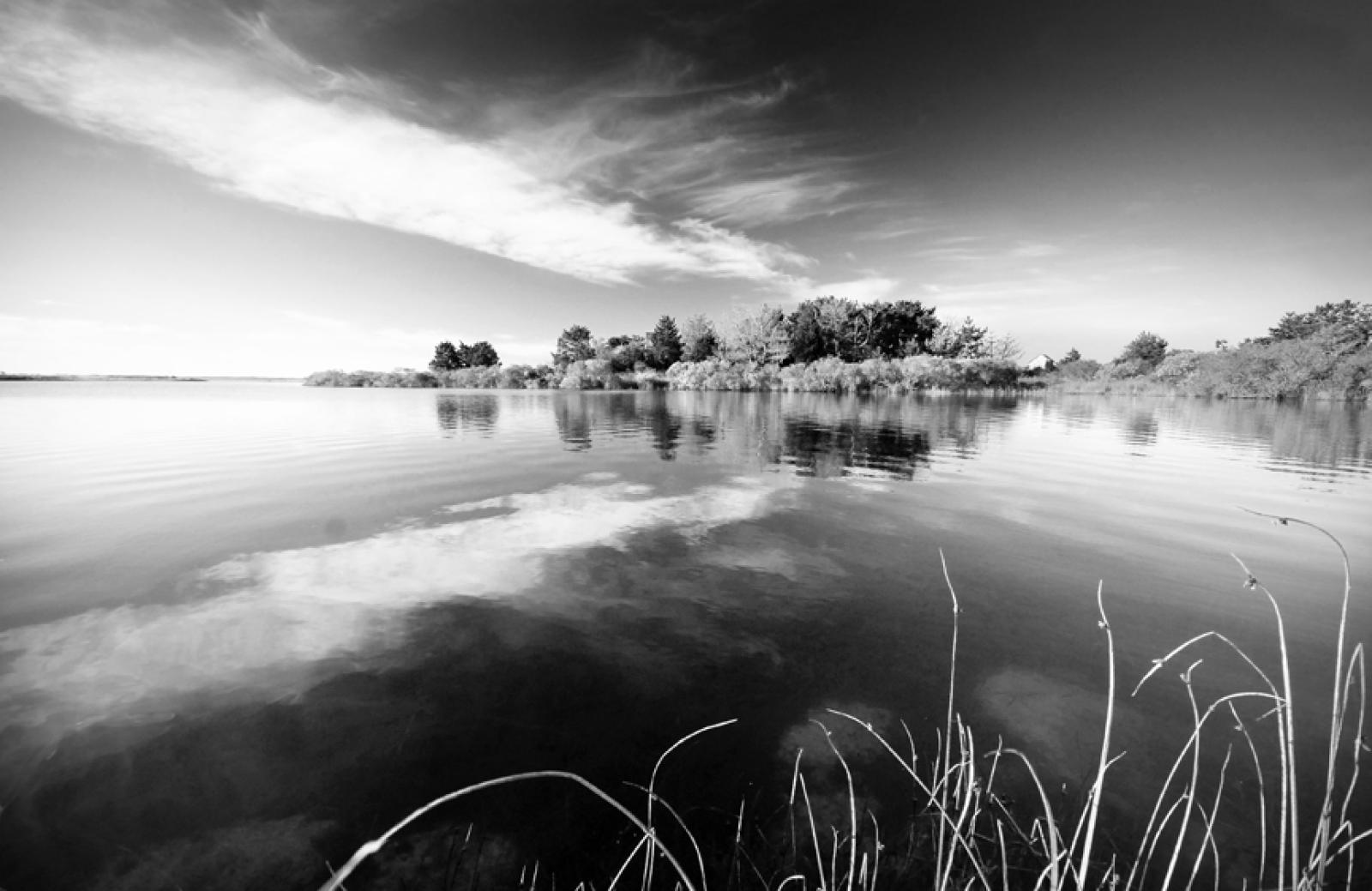 pond
