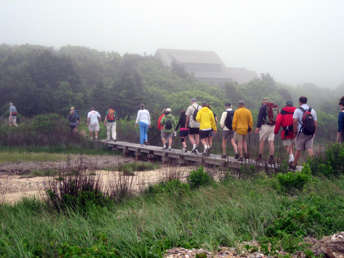 bridge