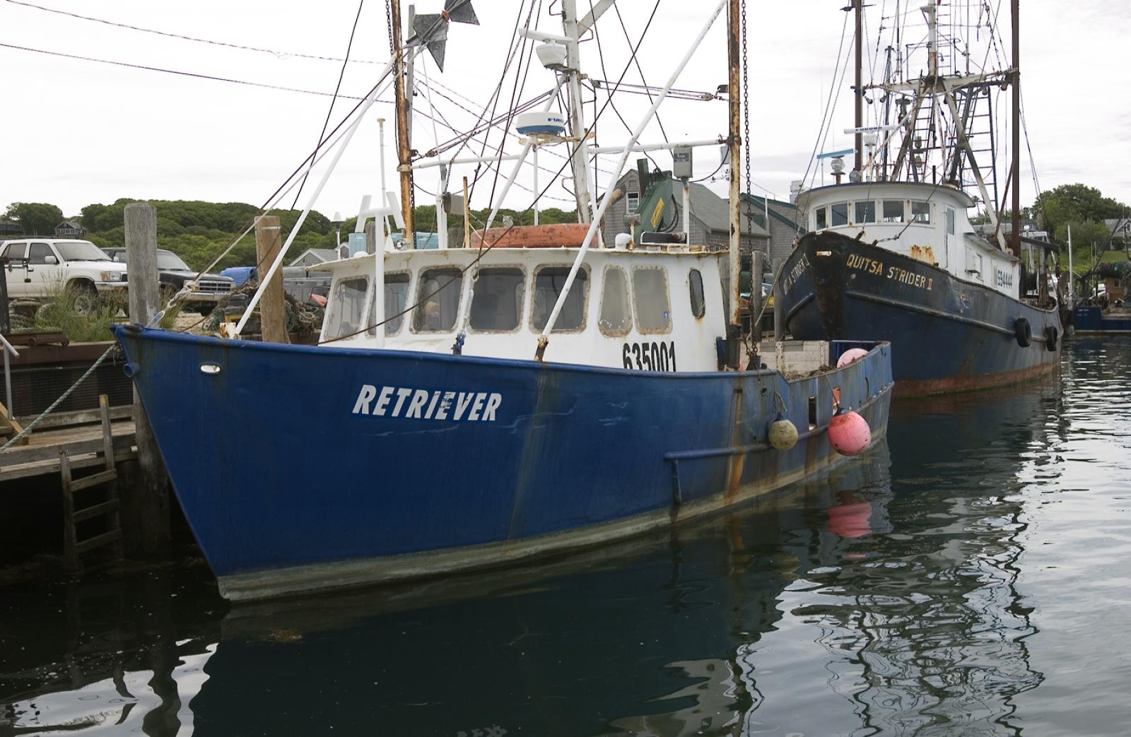 Retriever