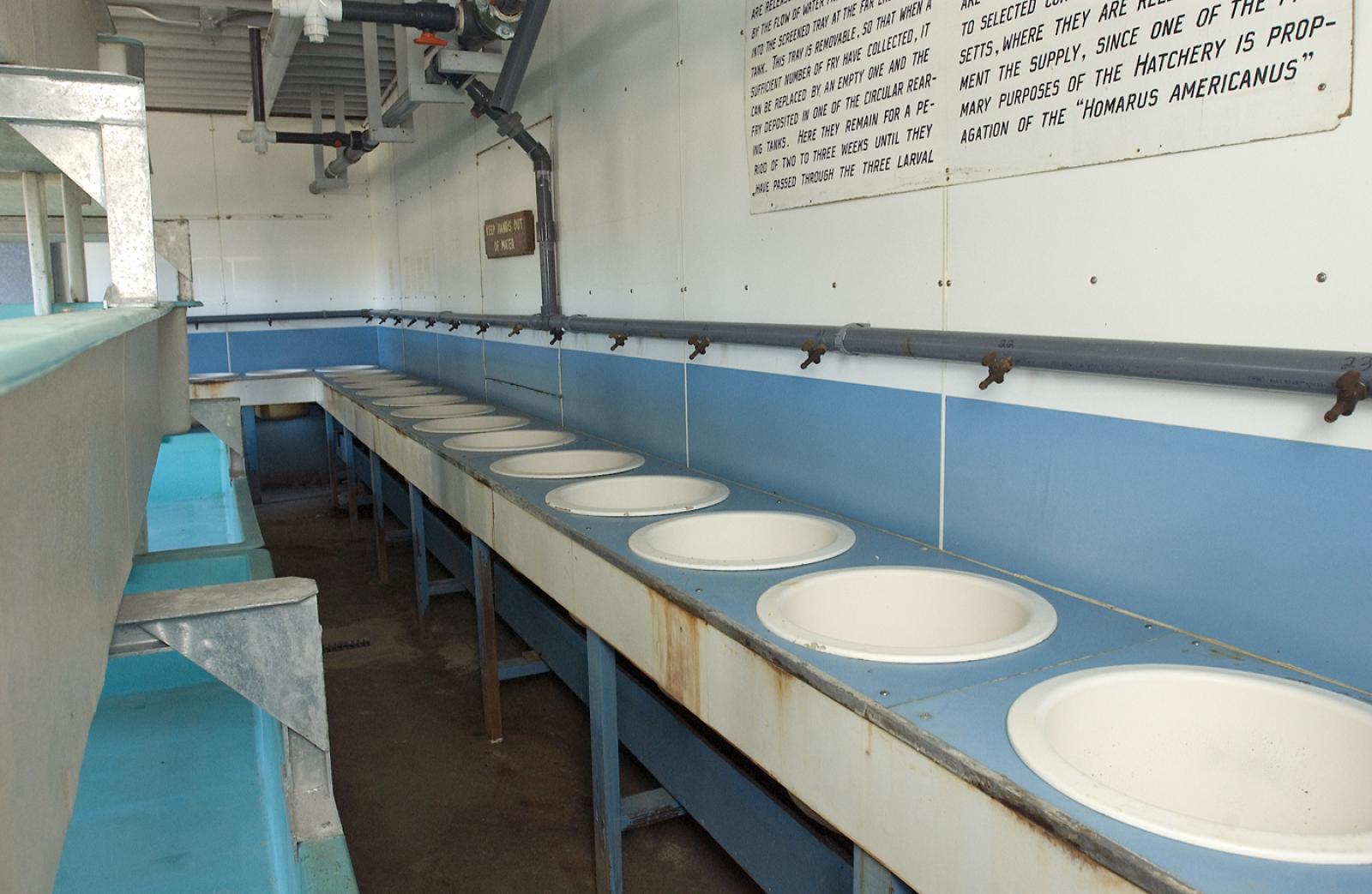 Hatchery