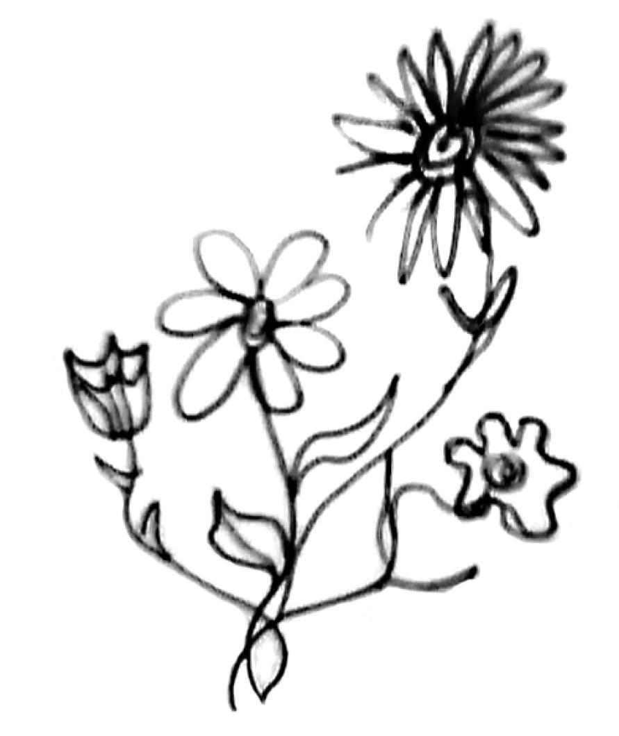 flowers