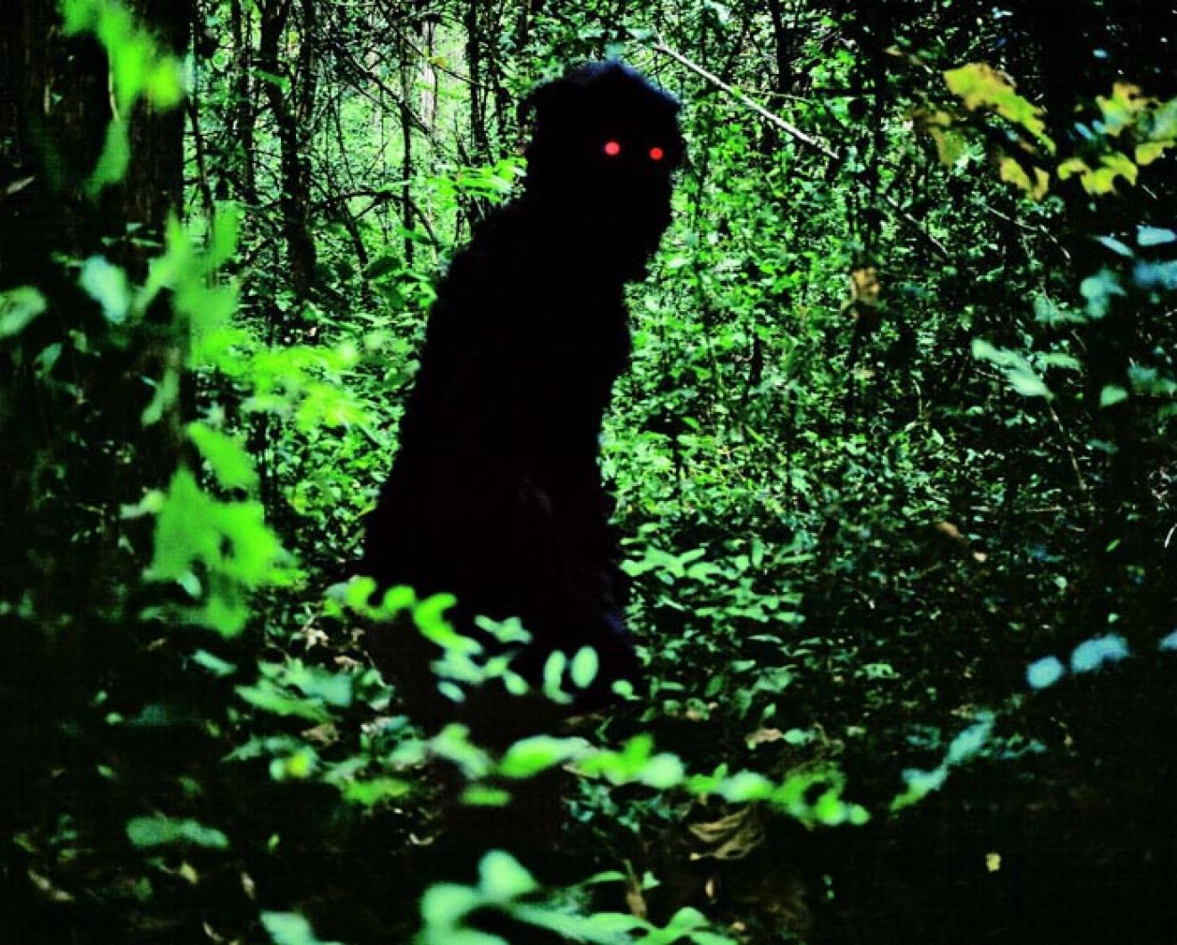 Uncle Boonmee forest monster