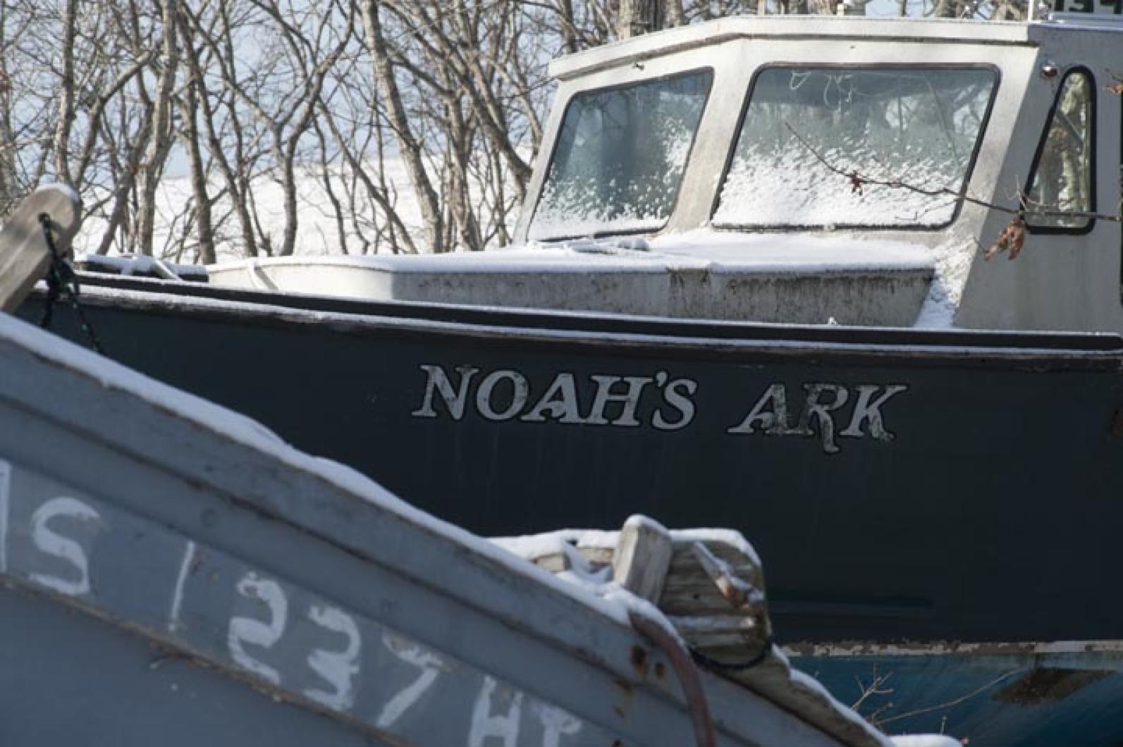 boat