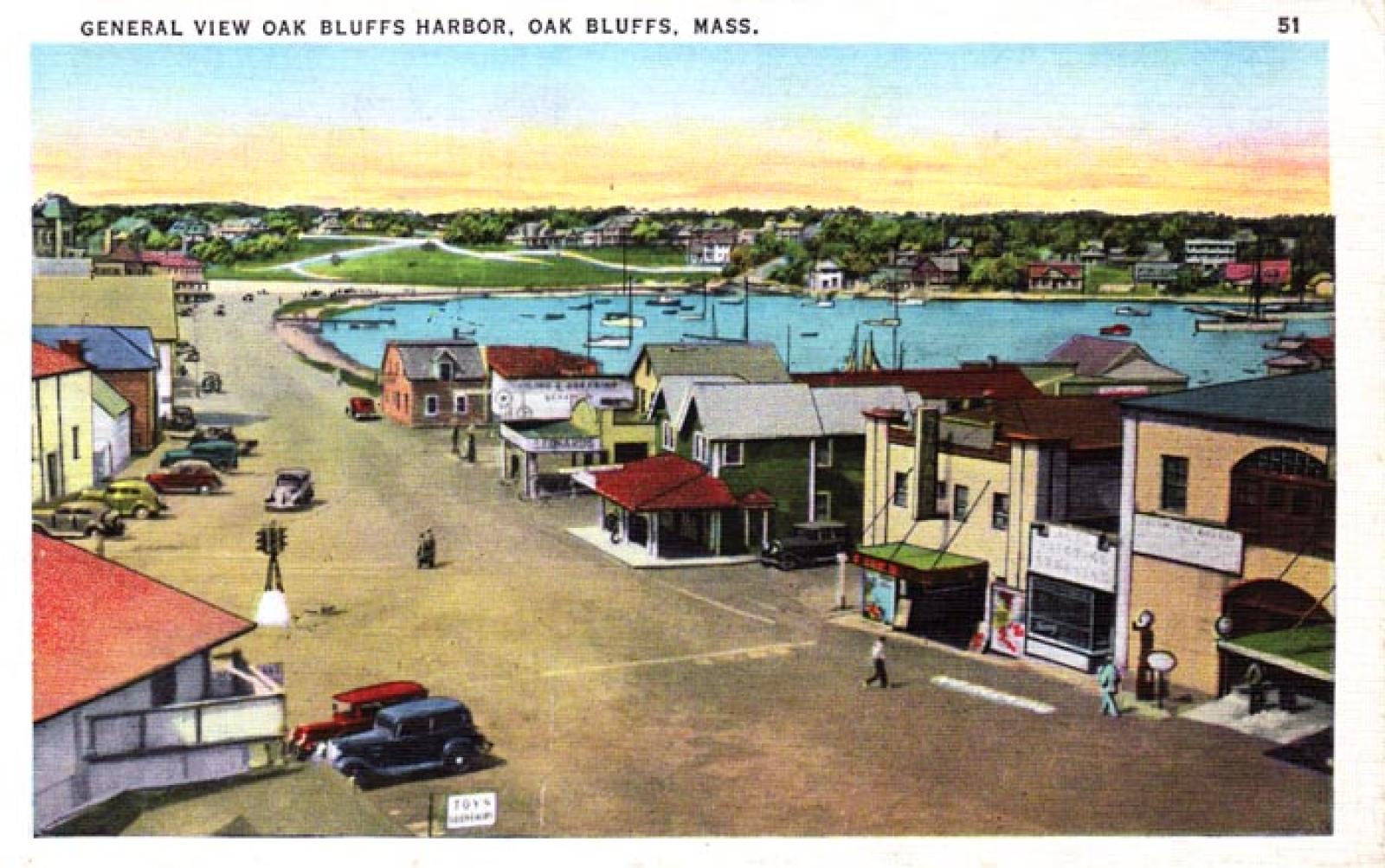 oak bluffs harbor vintage postcard