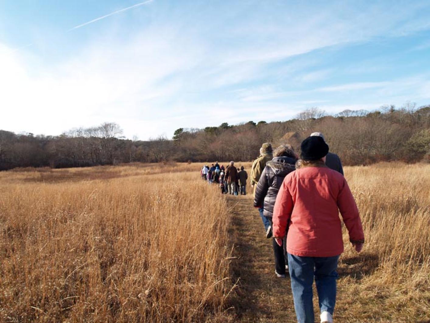 walking grass line
