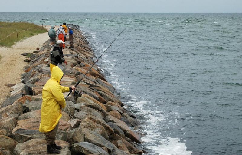 fishing